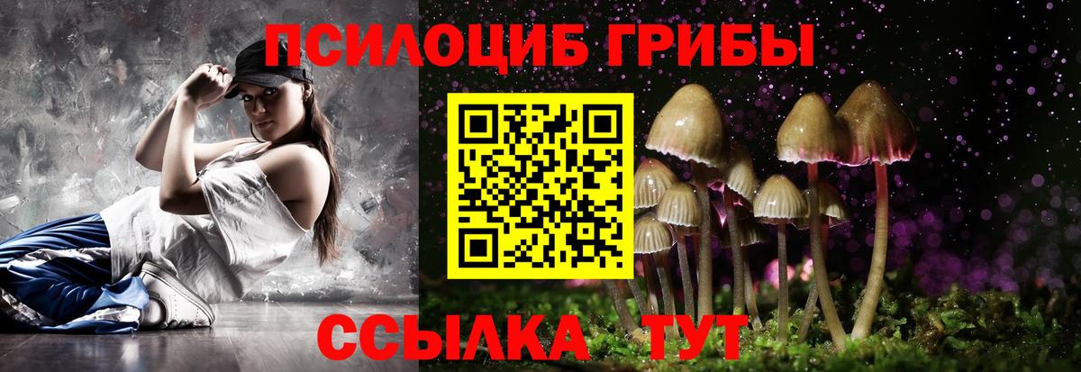 закладки  Вход с VPN  Тобольск  Галлюциногенные грибы мицелий 